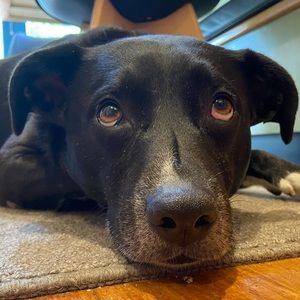 Meet your Posher, Jasmine